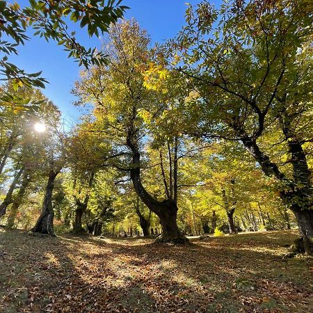 “All'Antica Dogana” Bosco  ภายนอก รูปภาพ